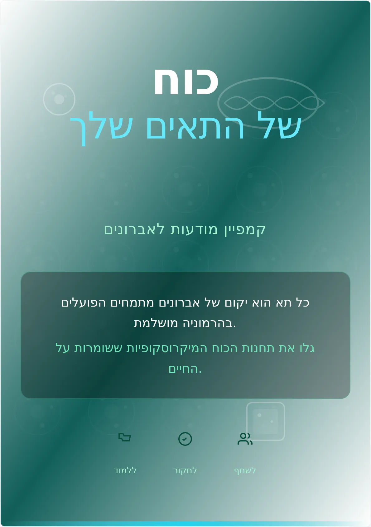 תבנית פוסטר קמפיין אברונים