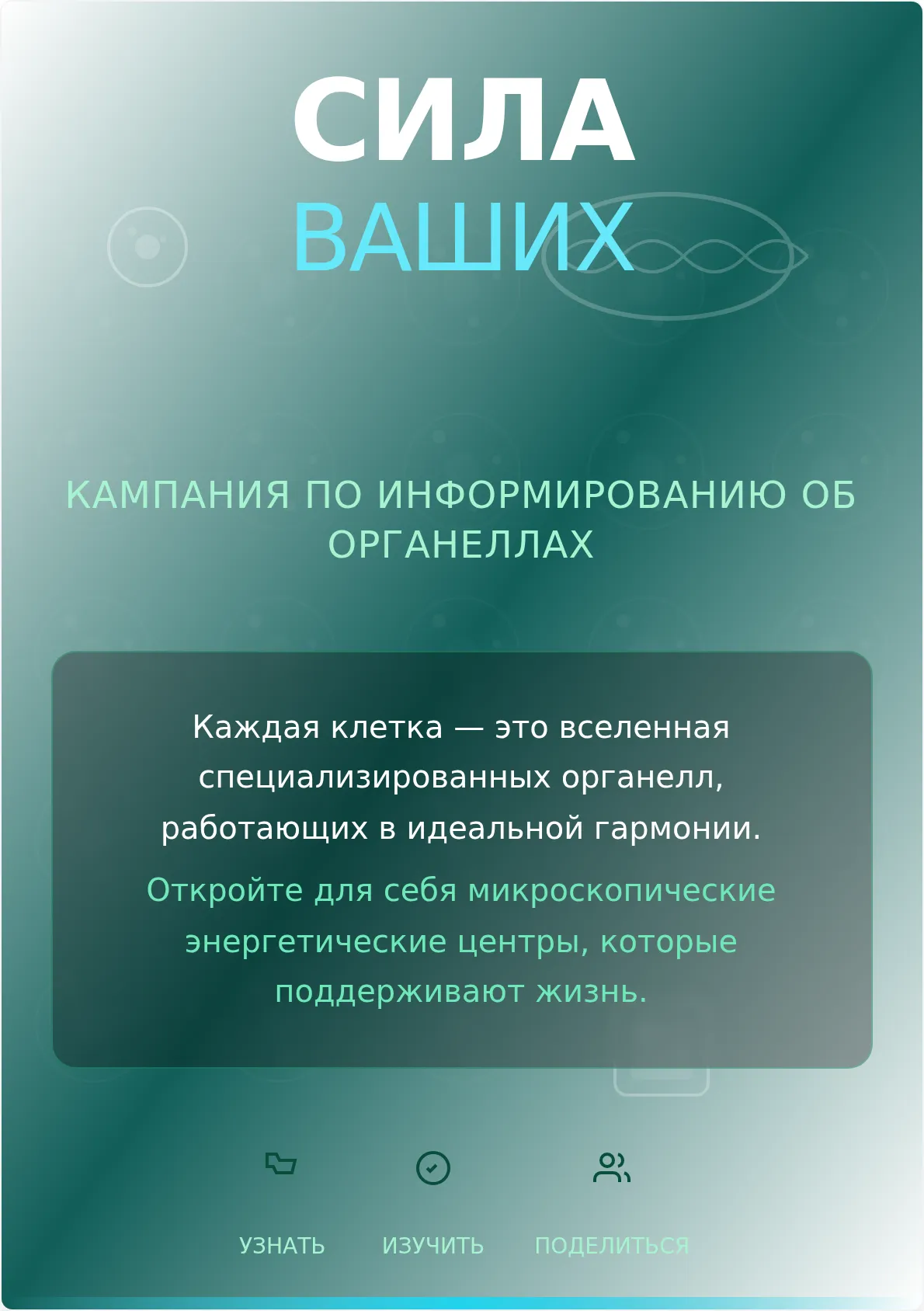 Шаблон постера кампании об органеллах