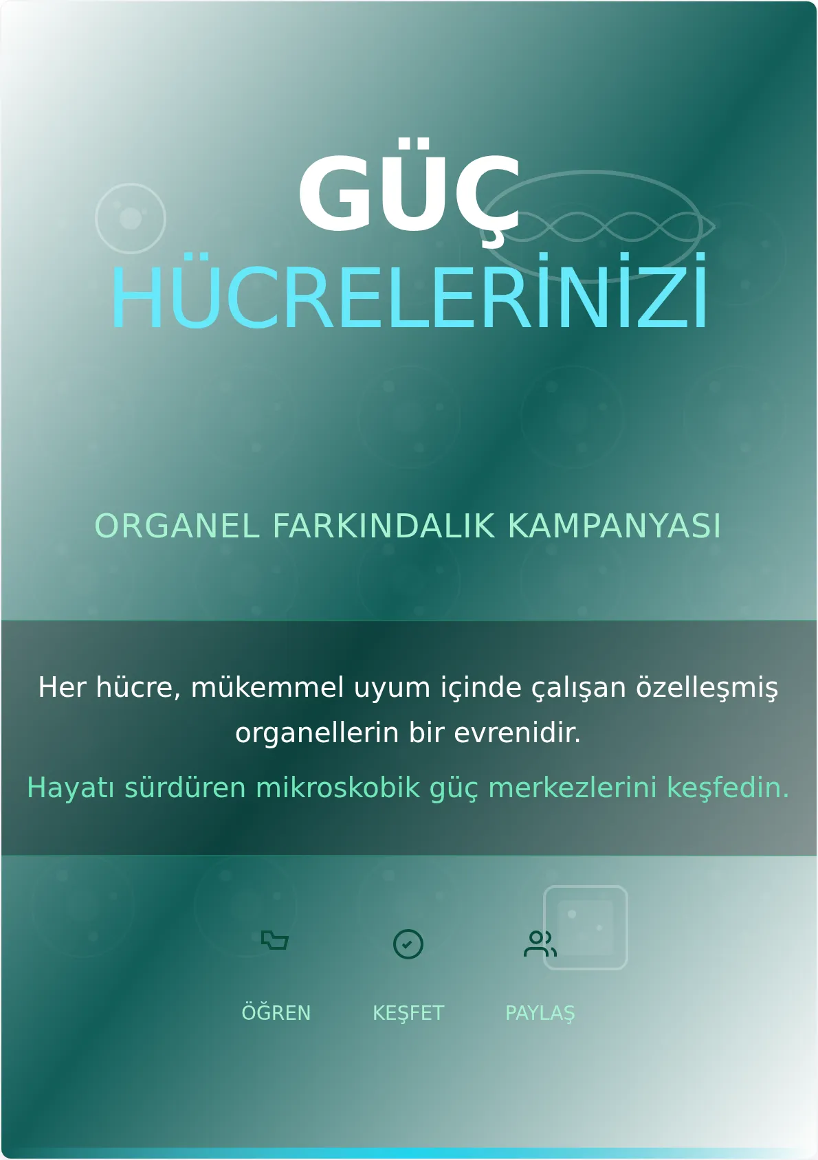 Organel Kampanya Afişi Şablonu