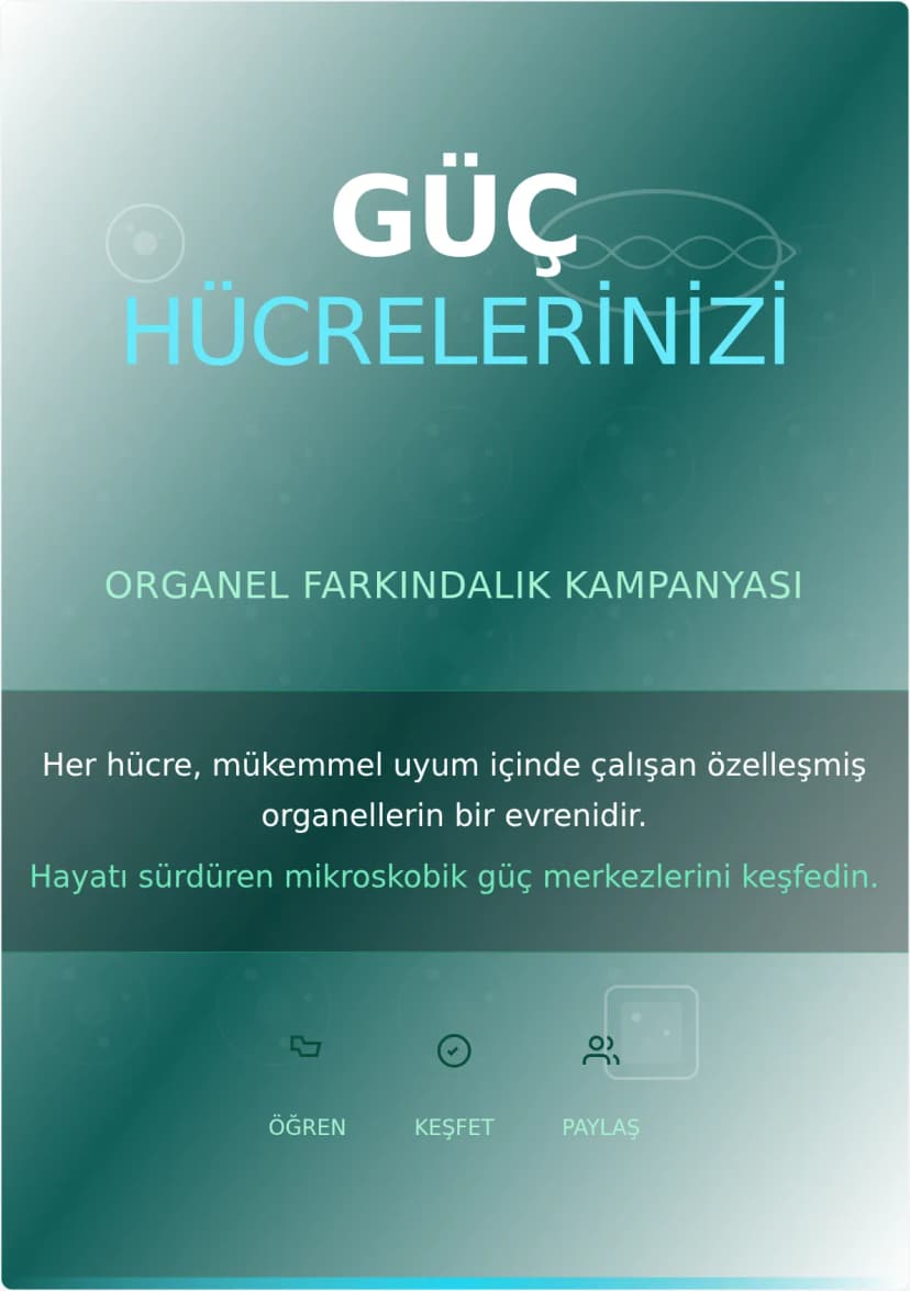 Organel Kampanya Afişi Şablonu