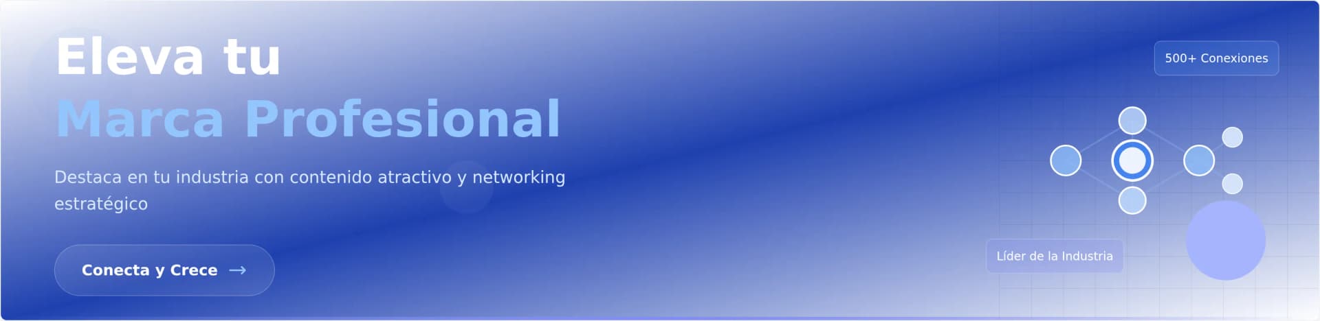 Plantilla de Banner Profesional para LinkedIn