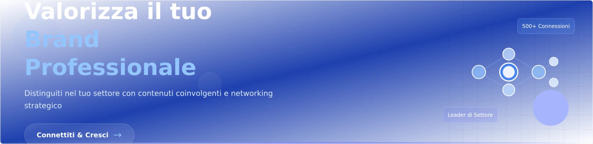 Modello Professionale di Banner LinkedIn