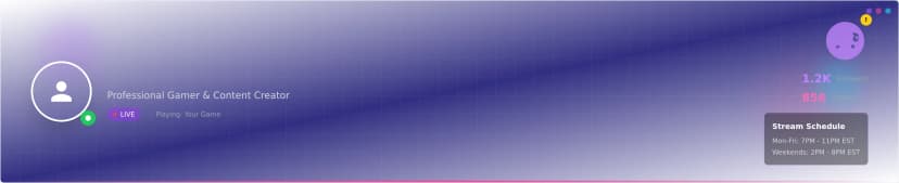 Professional Twitch Banner Template
