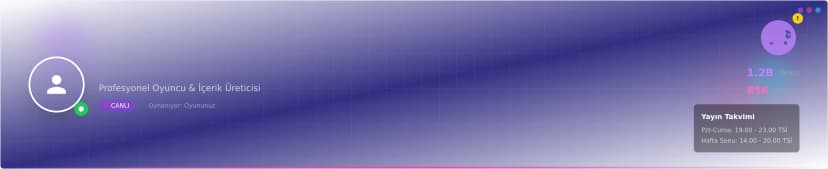 Profesyonel Twitch Banner Şablonu